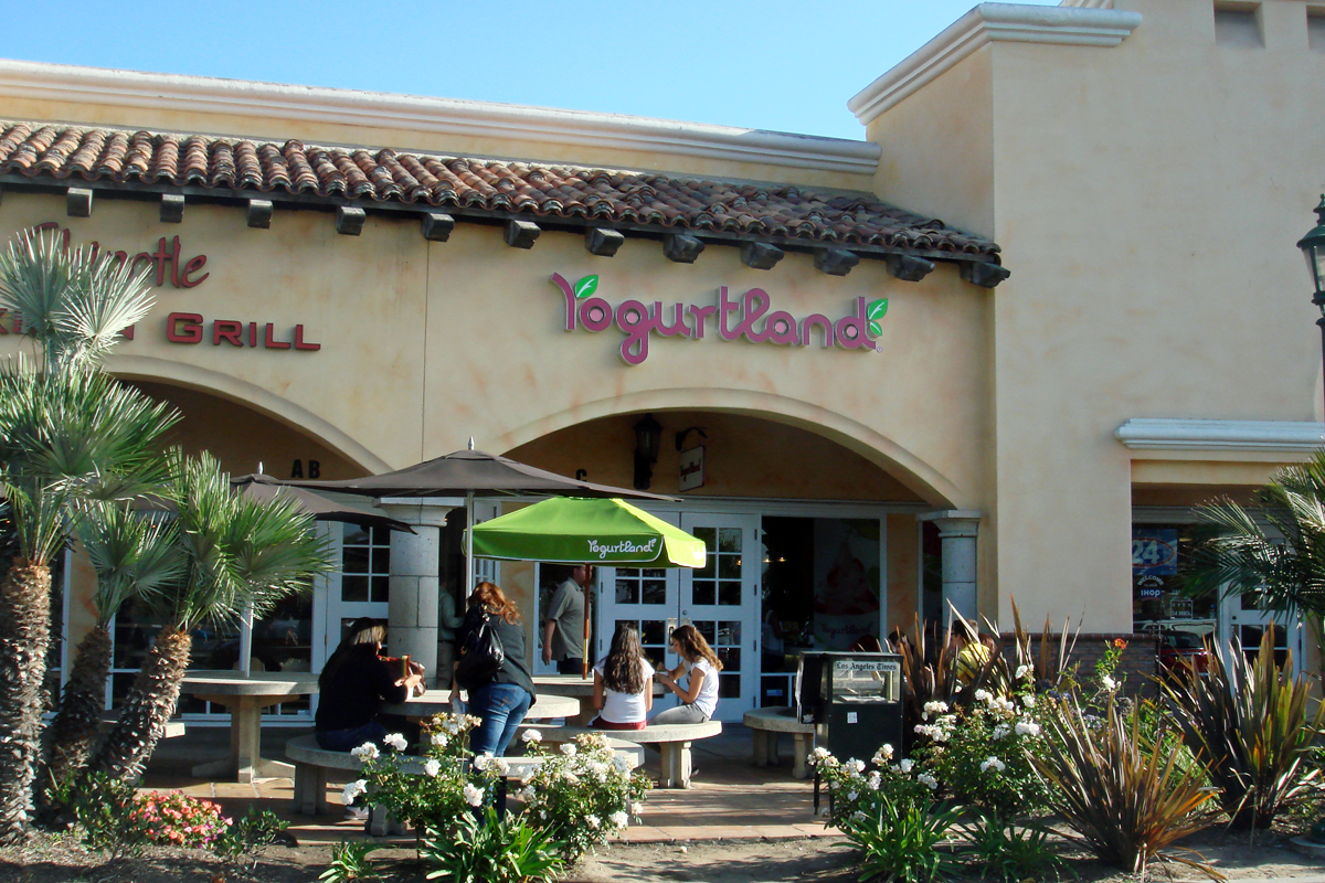Food Service Franchise Development
